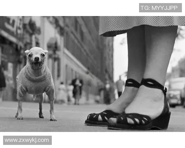 在日本街头捕捉足球明星的精彩瞬间与独特风采